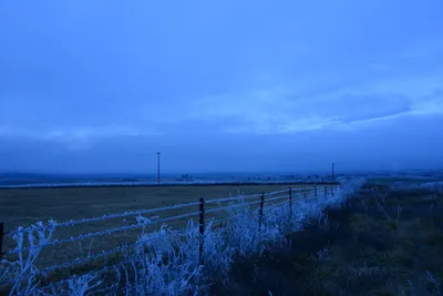 DSC_1094 (Large).JPG